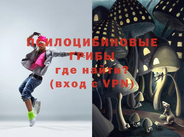 дживик Карпинск