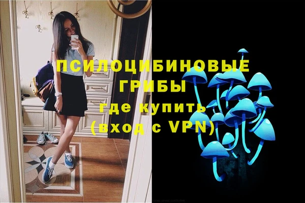 дживик Карпинск