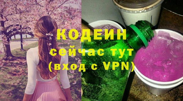 дживик Карпинск