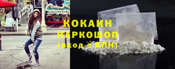 дживик Карпинск