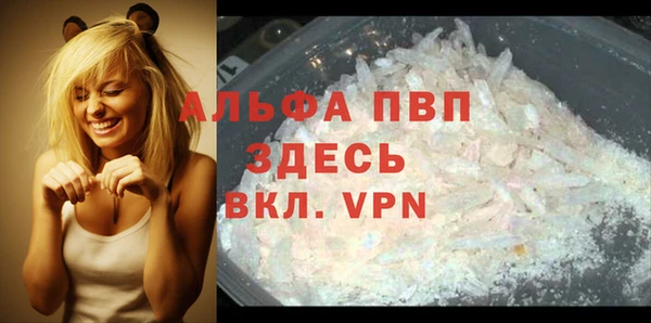 дживик Карпинск