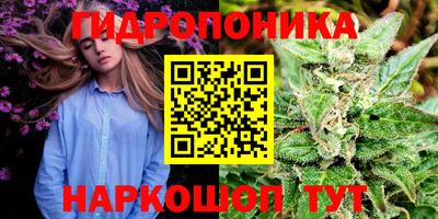 кокаин перу Кингисепп