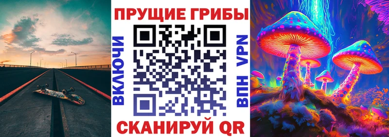 Псилоцибиновые грибы GOLDEN TEACHER  где купить наркоту  Кунгур 