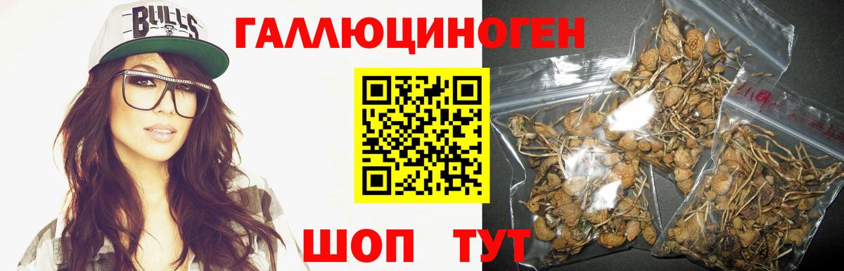 Галлюциногенные грибы мухоморы  Вход с VPN  купить закладку  Кунгур 